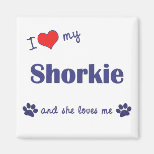 私は愛します私のShorkie (メス犬)を マグネット