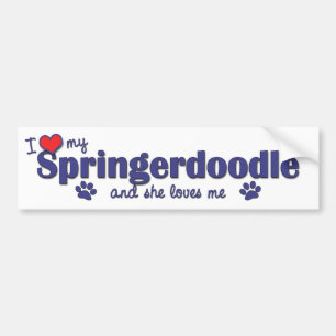 私は愛します私のSpringerdoodle (メス犬)を バンパーステッカー