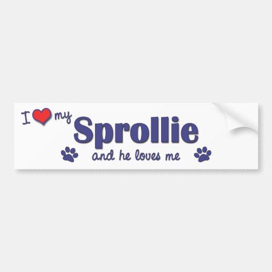 私は愛します私のSprollie (オス犬)を バンパーステッカー (正面)