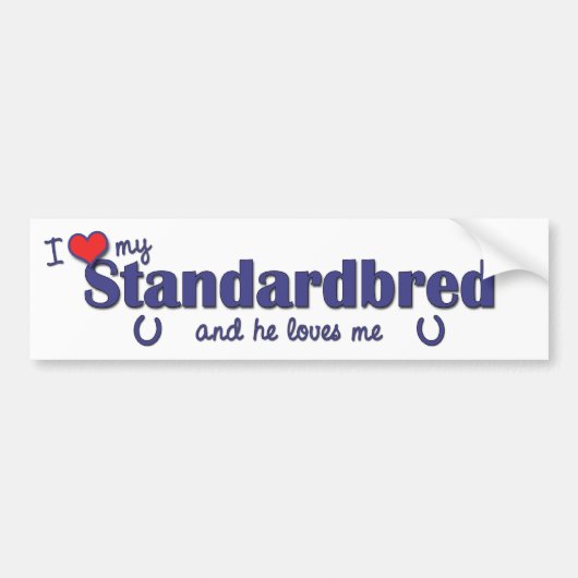 私は愛します私のStandardbred (雄の馬)を バンパーステッカー (正面)