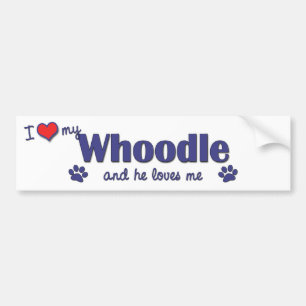 私は愛します私のWhoodle (オス犬)を バンパーステッカー