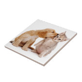 私は愛します! 子犬のキスは子ネコを驚かしました! タイル (側面)