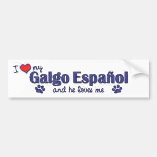 私は愛しますGalgoの私のスペイン(オス犬)を バンパーステッカー