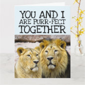 私は愛するライオンカップルロマンチックな大きなカード カード (黄色い花)