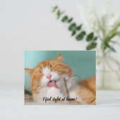 私は感じ家で新しいペットの発表はがき ポストカード (スタンド正面)