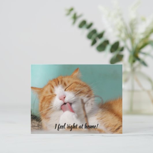 私は感じ家で新しいペットの発表はがき ポストカード (スタンド正面)