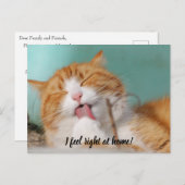 私は感じ家で新しいペットの発表はがき ポストカード (正面/裏面)