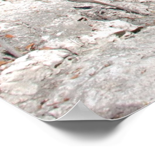 私は感謝していこの素晴らしい日のために神よ。 ポスター (角)