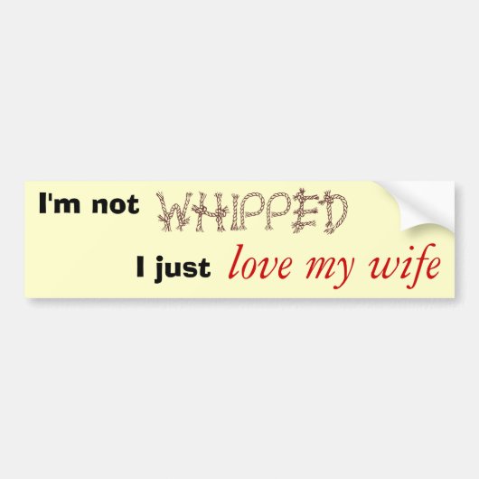 私は打たれません バンパーステッカー (正面)