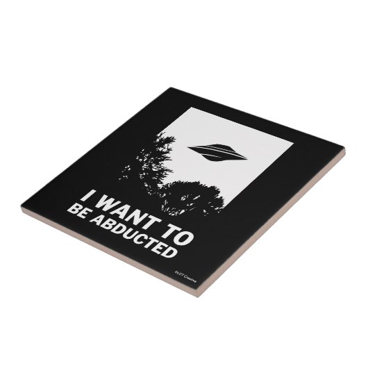私は拉致されたい タイル (側面)