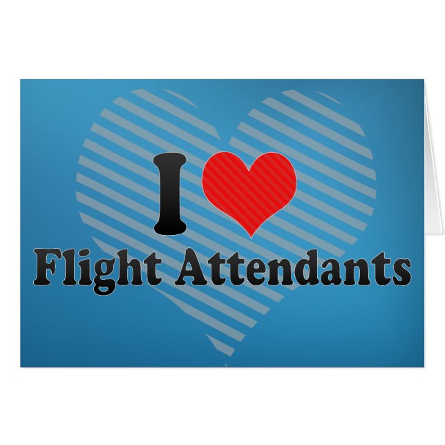 私は搭乗員を愛します (正面横)