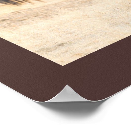 私は文字で醜い荒涼とした写真ではない ポスター (角)