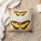 私は方法を示します クッション (ブランケット)