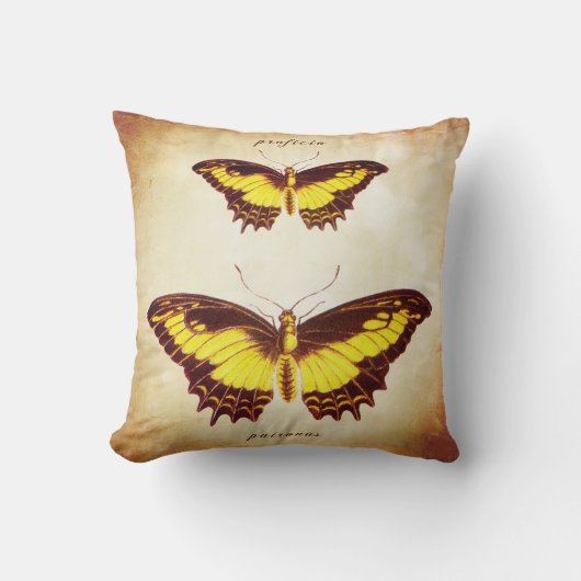 私は方法を示します クッション (正面)