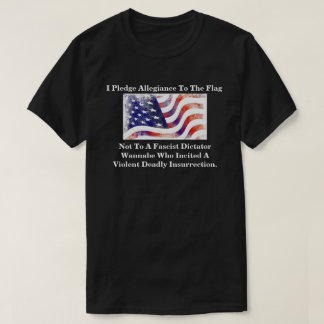 私は旗に忠誠を誓います、ただそれだけです Tシャツ