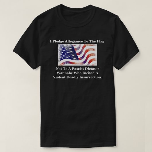 私は旗に忠誠を誓います、ただそれだけです Tシャツ (デザイン正面)