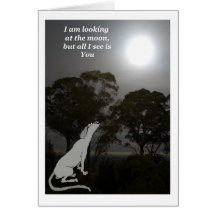 私は月を見ています