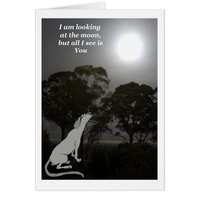 私は月を見ています (正面)