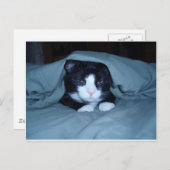 私は月曜日を憎みます! ポストカード (正面/裏面)