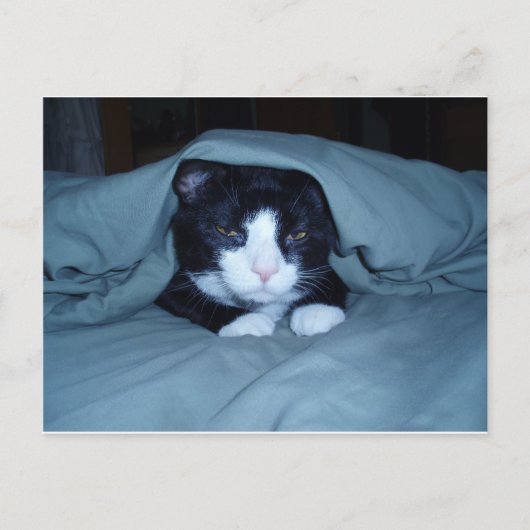 私は月曜日を憎みます! ポストカード (正面)