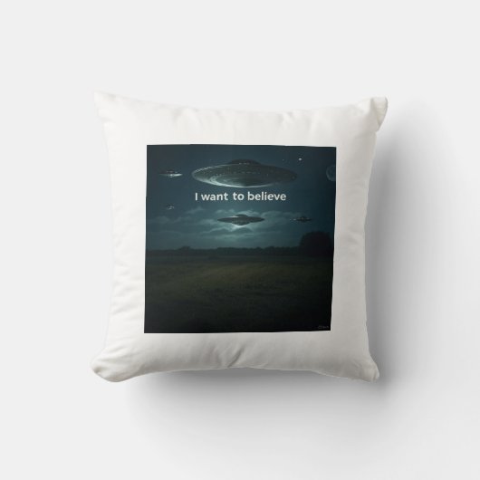 私は望信じん クッション (正面)