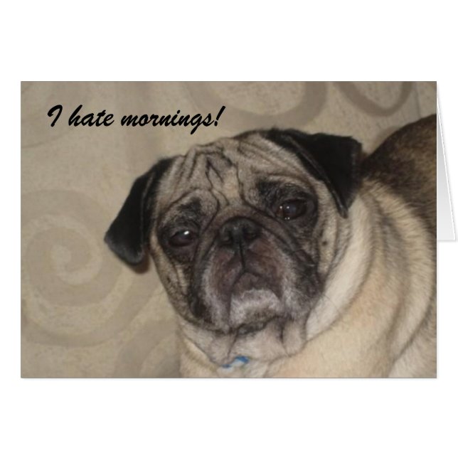 私は朝カードを憎みます! (正面横)