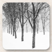 私は木に寄り添うように コースター (正面)