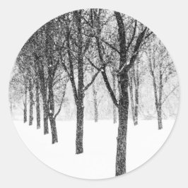 私は木に寄り添うように ラウンドシール