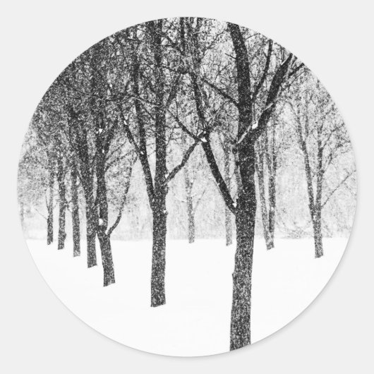 私は木に寄り添うように ラウンドシール (正面)