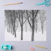 私は木に寄り添うように 薄葉紙 (クラフト)