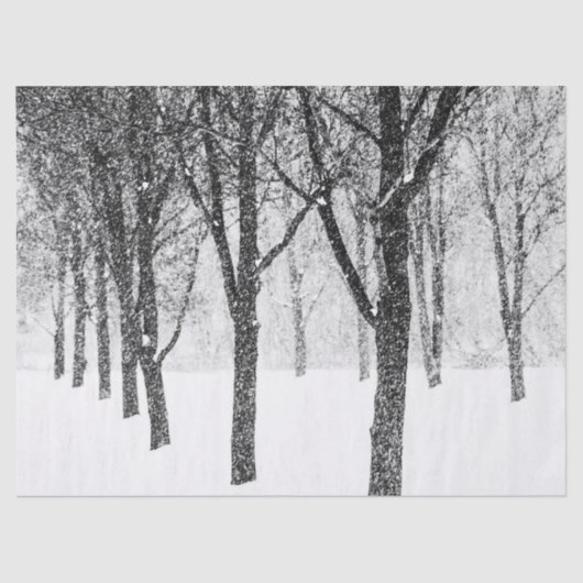 私は木に寄り添うように 薄葉紙 (正面)