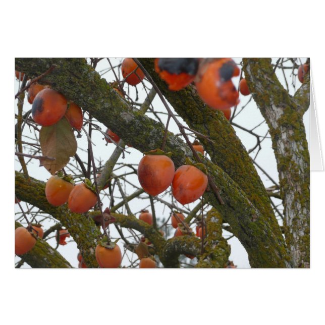 "私は本当にあなたとぶら下がった好みます。" (正面横)