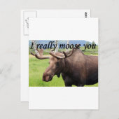 私は本当にあなたを嘆く:アラスカのムース ポストカード (正面/裏面)