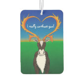 私は本当にあなたを守る カーエアーフレッシュナー (裏面)