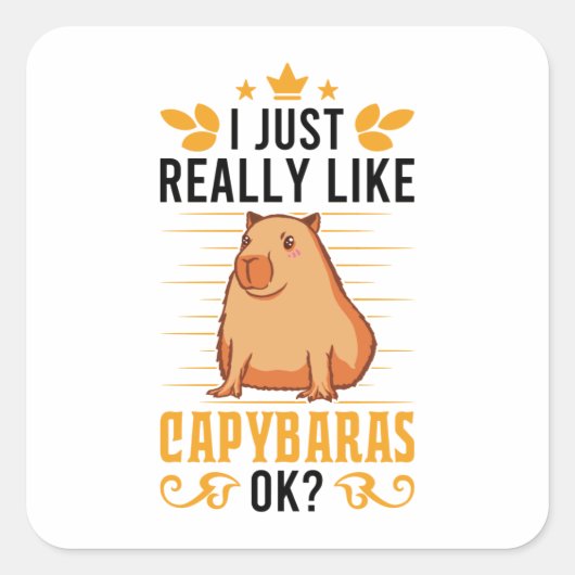 私は本当にCapybaras Ok Capybaraが好き スクエアシール (正面)