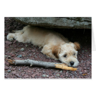 私は梳くのを救済してもいいです