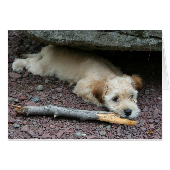 私は梳くのを救済してもいいです (正面横)