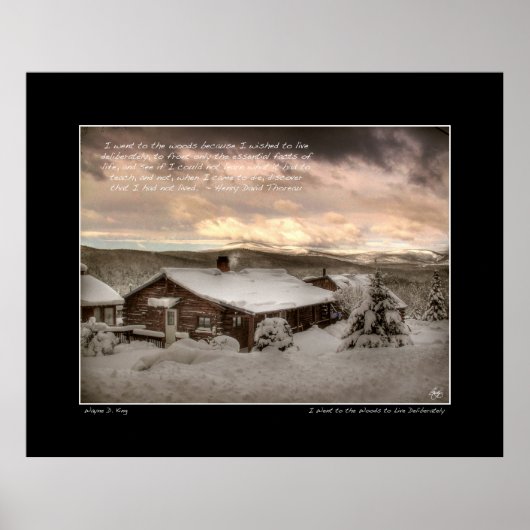 私は森のポスターに行った ポスター (正面)