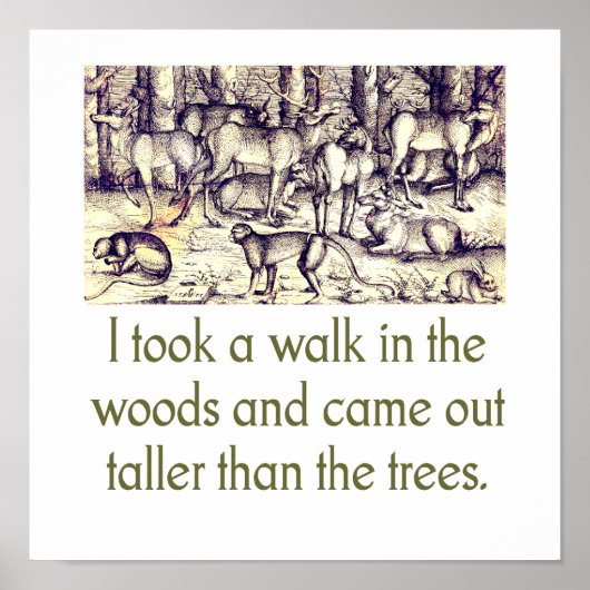 私は森の中を散歩した – 引用文 ポスター (正面)