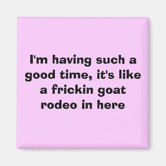 私は楽しい時間を過ごしているフリカーのような… マグネット