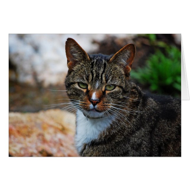 私は楽しみません…. (正面横)