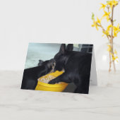 私は残念です カード (黄色い花)