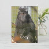 私は残念です カード (スタンド正面)