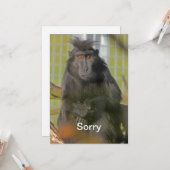 私は残念です カード (正面/裏面インサイチュ)