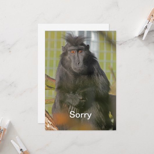 私は残念です カード (正面/裏面インサイチュ)