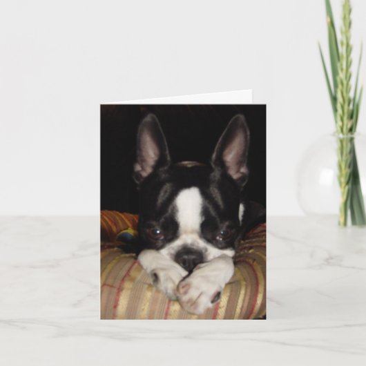 私は残念なメッセージカードです カード (正面)