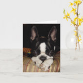 私は残念なメッセージカードです カード (黄色い花)