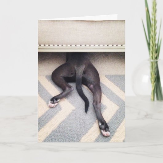 私は残念な挨拶状です カード (正面)