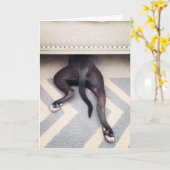 私は残念な挨拶状です カード (黄色い花)