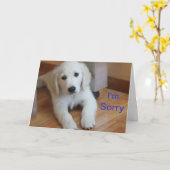 私は残念な謝罪カードです カード (黄色い花)